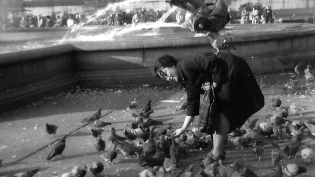 맹명관씨의‘육아일기’ 삶가족 23r (2) 복사본