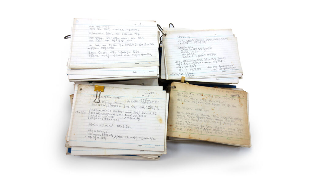 대지의 딸들- 베이징 이후의 한국여성환경운동 선생님의 메모2